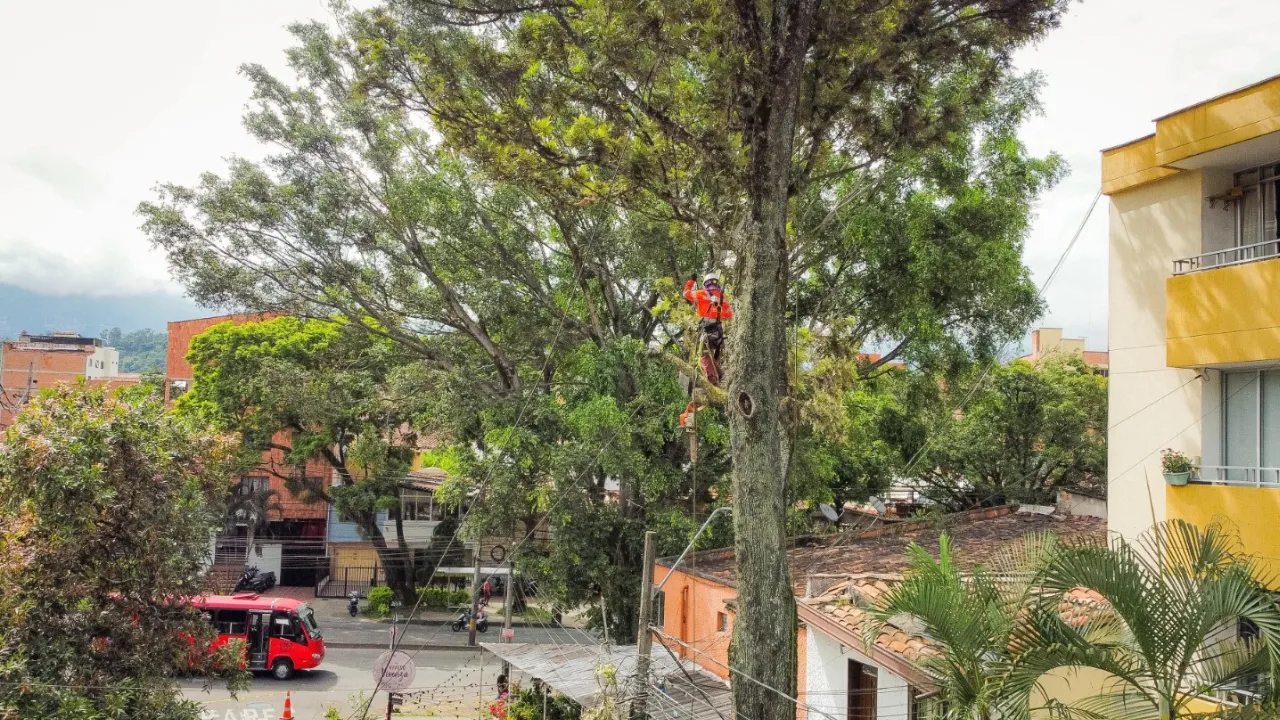 Ya han intervenido más de 300 que estaban a punto de caer en Medellín