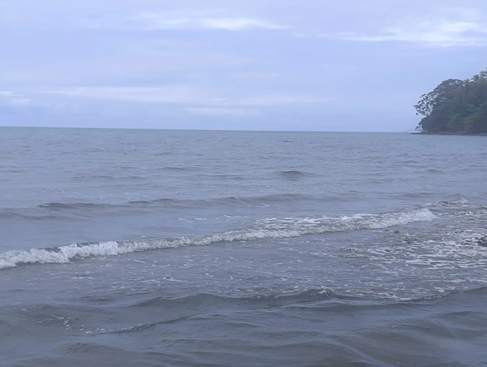 tsunamicol3