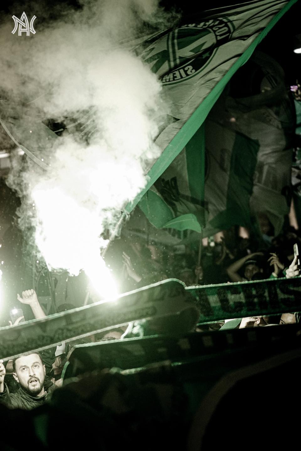Banderazo verdolaga