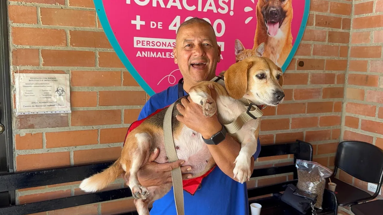 Campaña 'Adopta un Superhéroe' logró 29 adopciones de perros en Medellín en una semana
