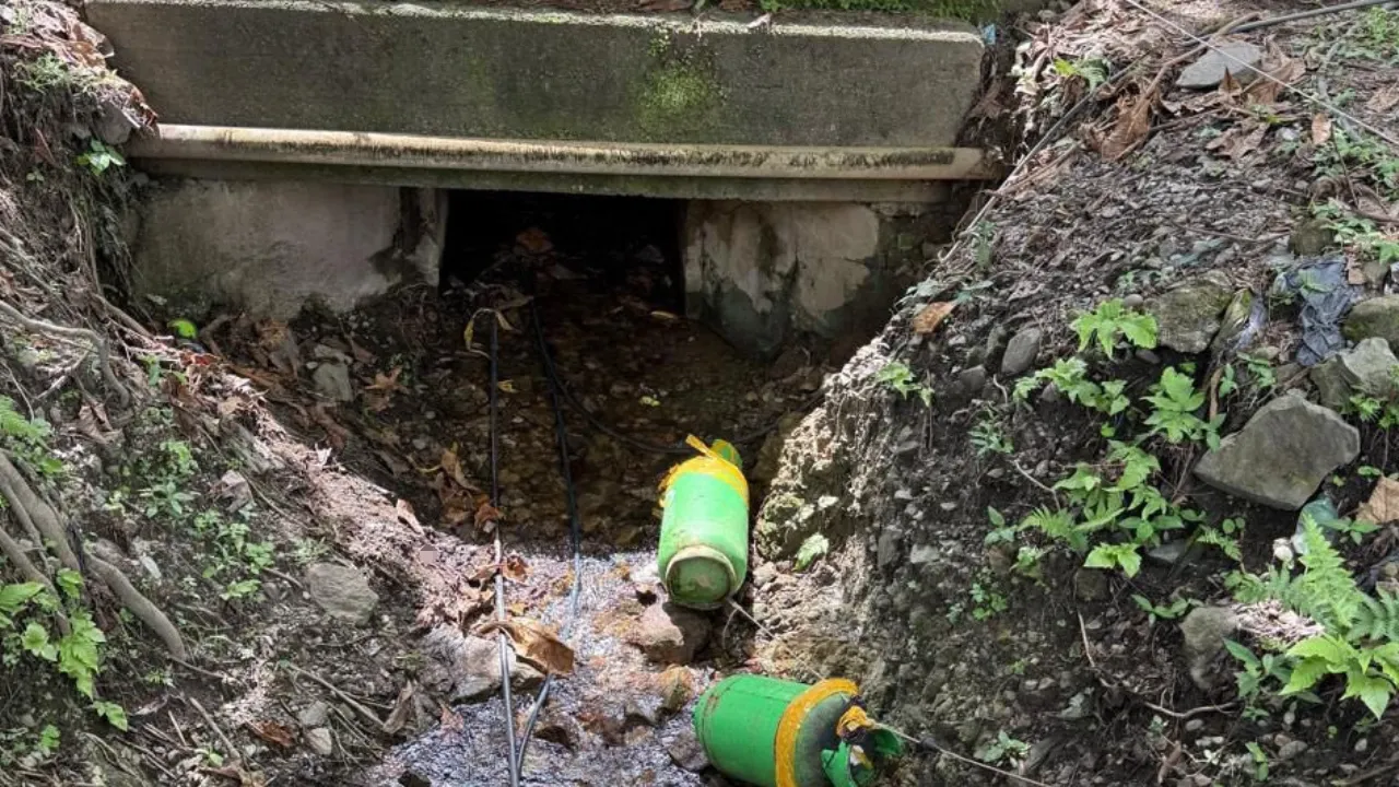 Ejército desactivó explosivos del ELN en Valdivia y evita una tragedia