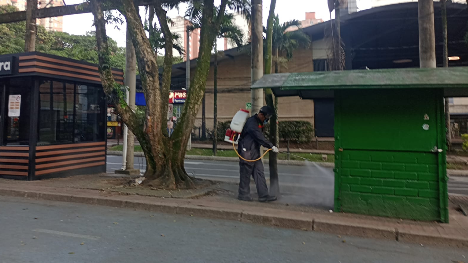¡Ambientes más seguros! Sabaneta avanza en su plan de fumigación contra insectos y roedores