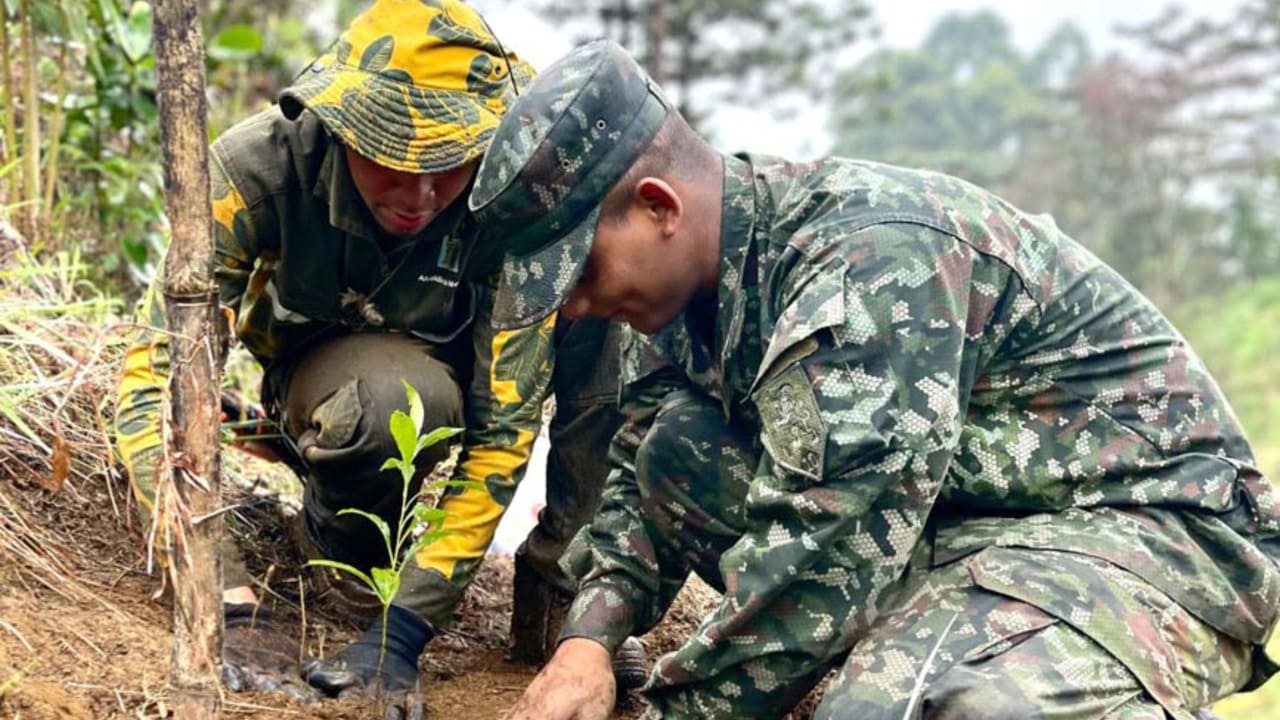 ¡Un legado verde para Medellín! Con más de 1.600 intervenciones, el Distrito avanza en la limpieza de zonas verdes y puntos críticos