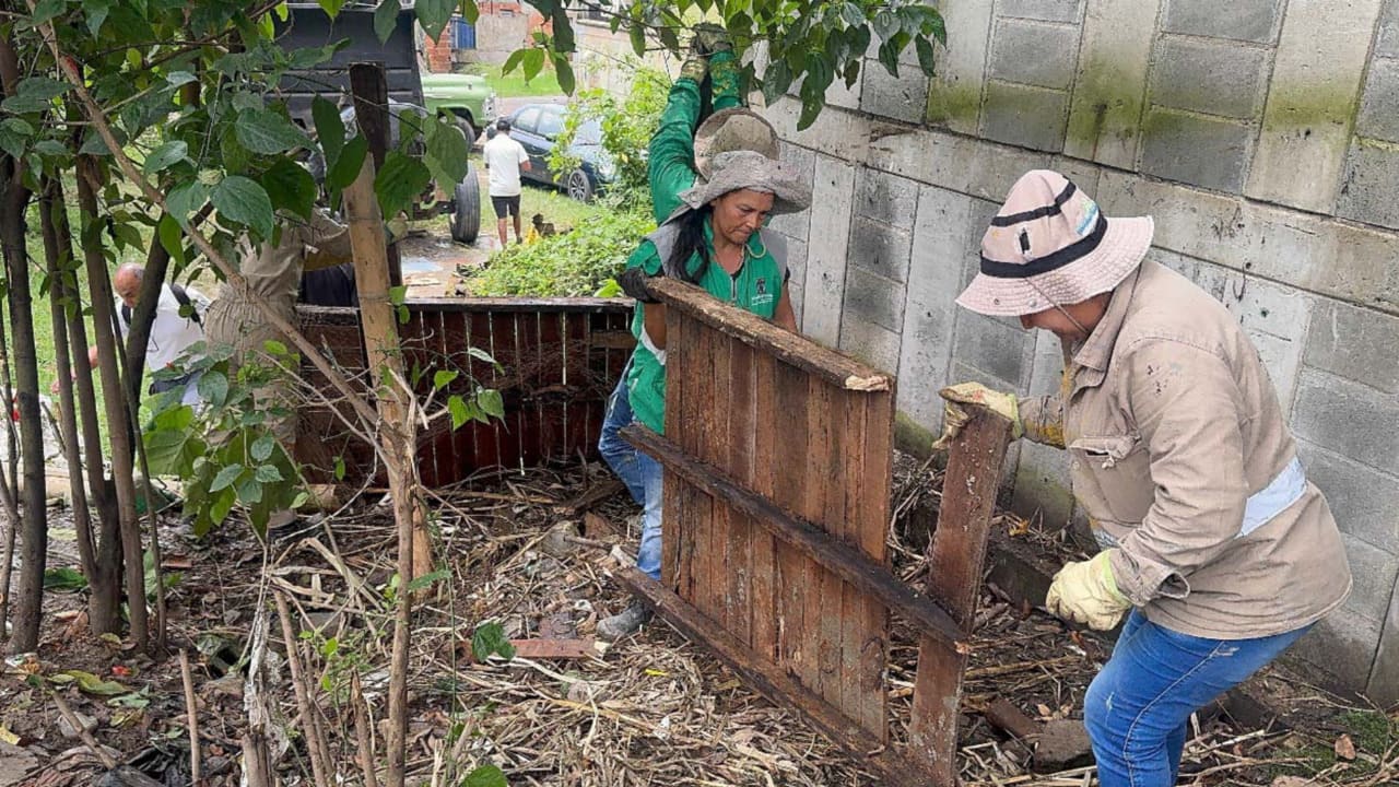 ¡Un legado verde para Medellín! Con más de 1.600 intervenciones, el Distrito avanza en la limpieza de zonas verdes y puntos críticos