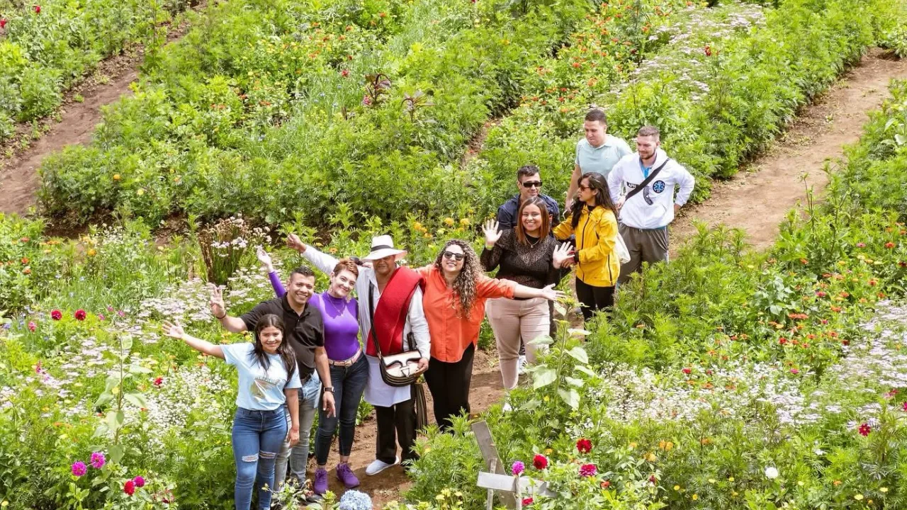 Parque Arví se llena de más de 1.000 flores y especies durante la Feria de las Flores