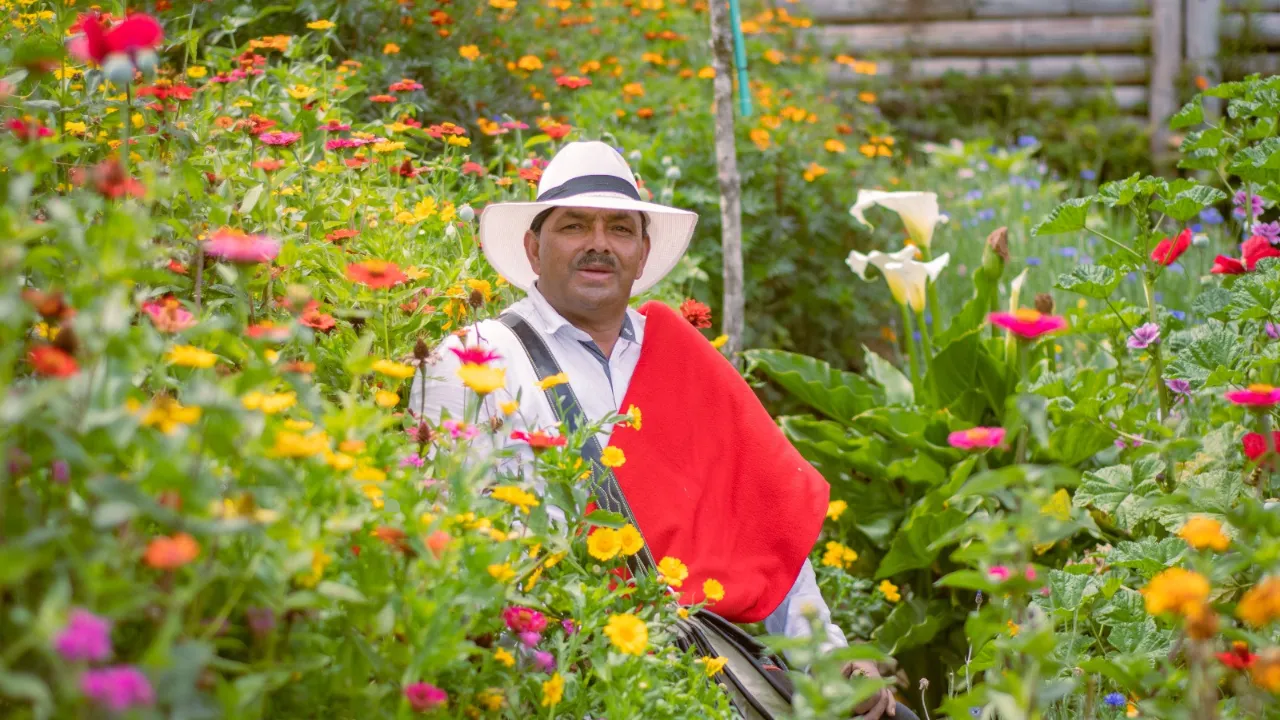 Parque Arví se llena de más de 1.000 flores y especies durante la Feria de las Flores