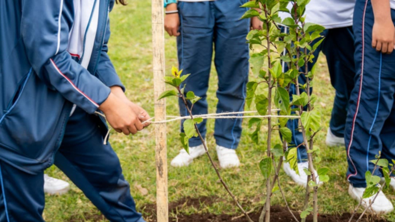 ¡Un respiro para Bosa! Jardín Botánico planta 200 árboles para mejorar la calidad del aire