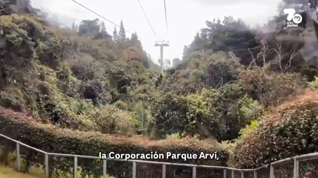 arvi13