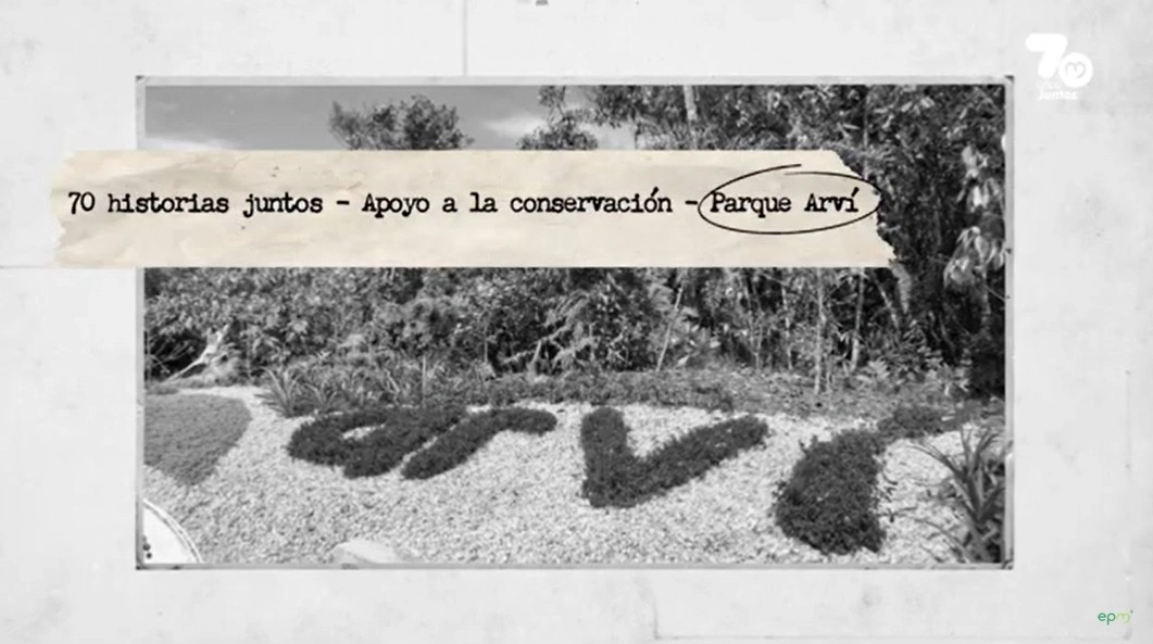 arvi14