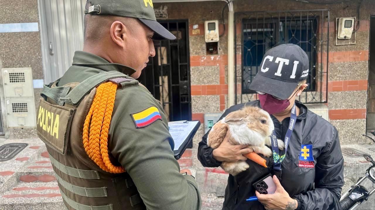 Lo pillaron con una boa constrictor y un conejo para darle de comer en Castilla