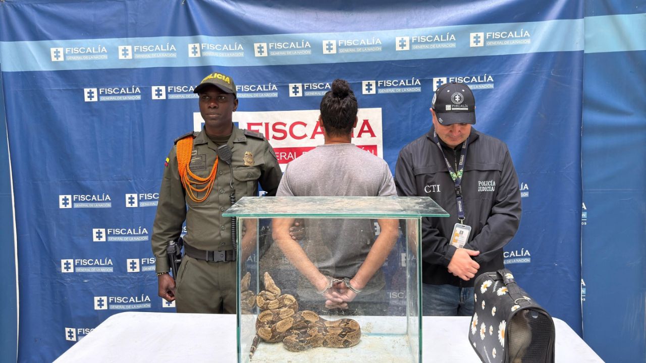 Lo pillaron con una boa constrictor y un conejo para darle de comer en Castilla