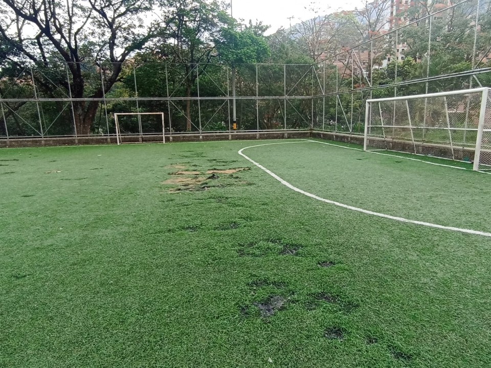 cancha antes1
