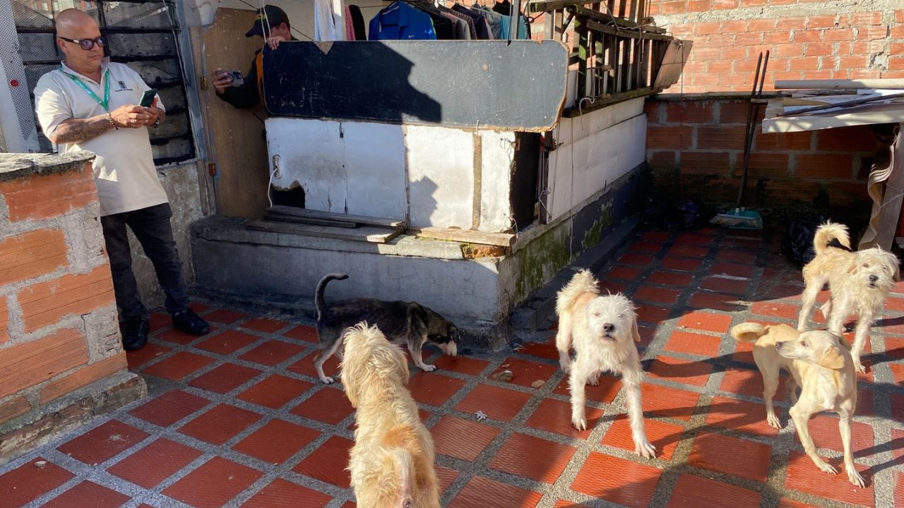 Caen por maltrato animal en Manrique: rescatan cinco perros en precarias condiciones