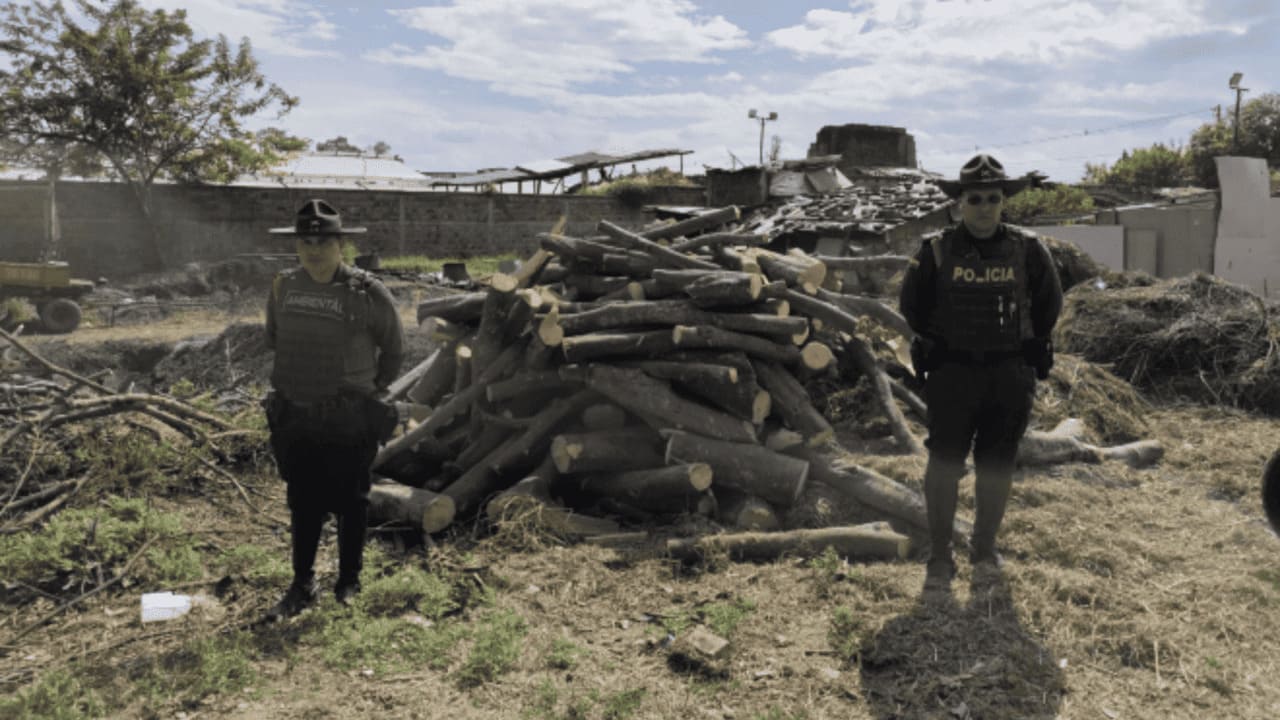 se incautaron barcazas, carbón y madera