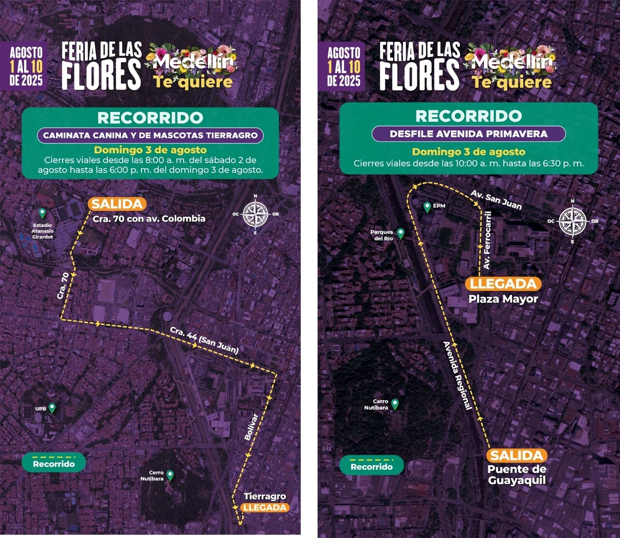 flores dom3