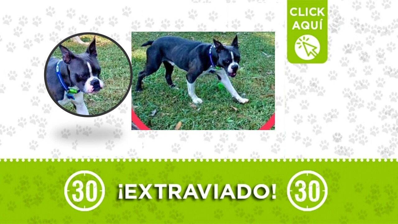 max perdido en el hueco