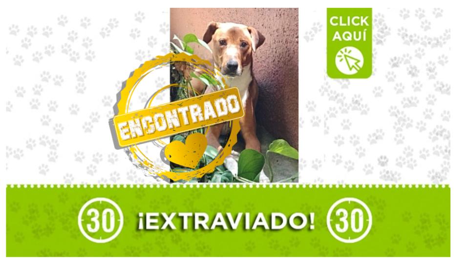 Niño ya está en su hogar, recibiendo los cuidados y el amor de su familia