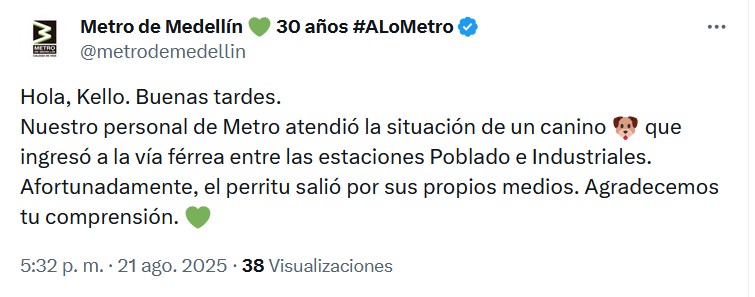 perrito en el metro