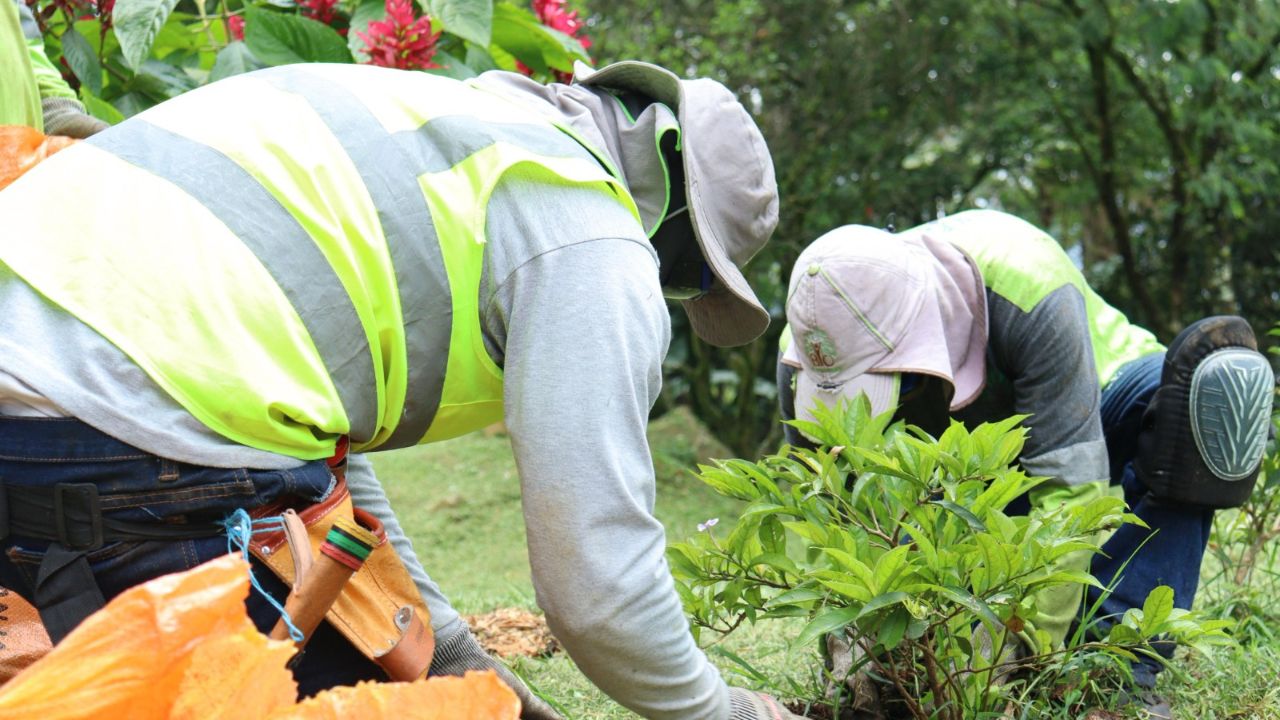 ¡De basurero a espacio limpio! Medellín ‘gradúa’ su primer punto crítico de residuos en Manrique