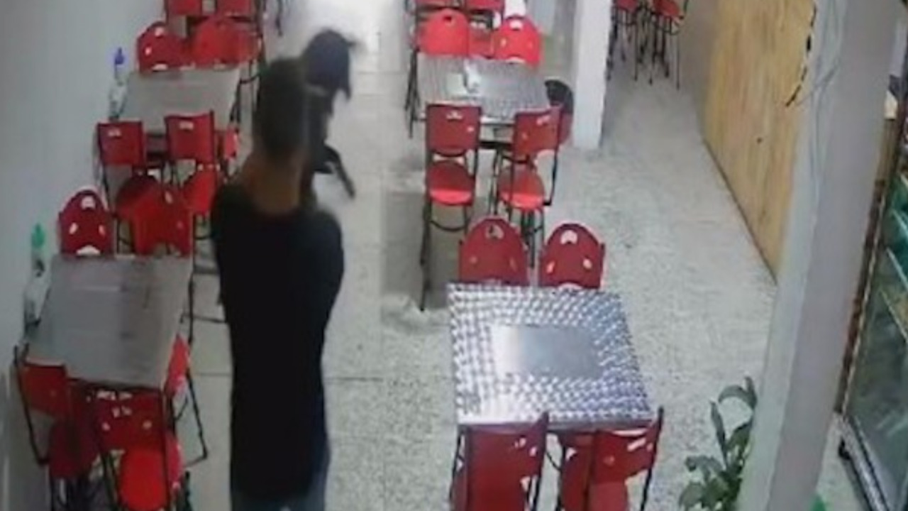 ¡Indignante! Tres agresores de perros reciben condena por brutal maltrato en Cúcuta, Tolima y Antioquia