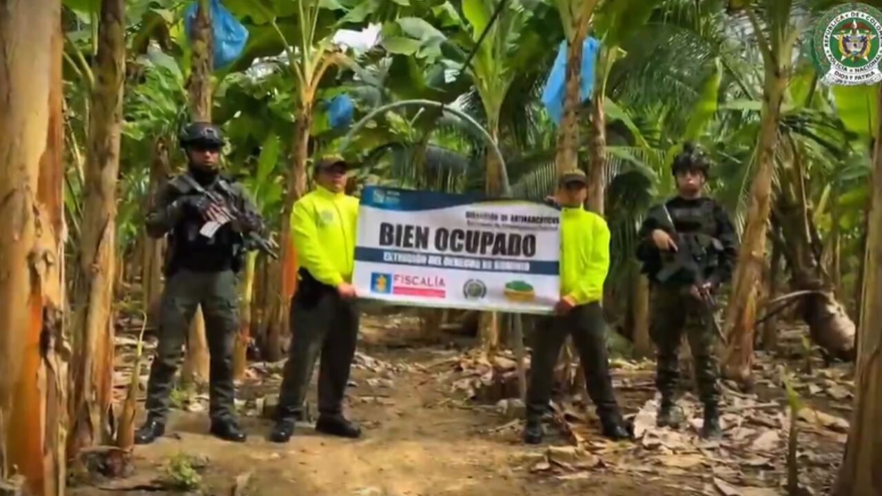 ¡Golpe a las narcofinanzas! Ocupan 71 inmuebles y 1.000 cabezas de ganado en millonaria extinción de dominio