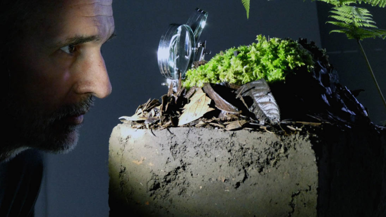 Medellín será epicentro de arte, ciencia y tecnología con el Festival Internacional Fotosíntesis 2025