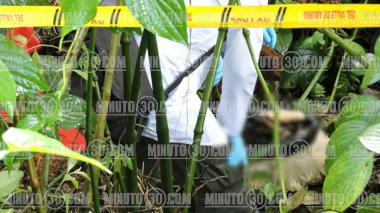 Hallan cuerpo desmembrado de un hombre en zona rural de Tarso, Antioquia