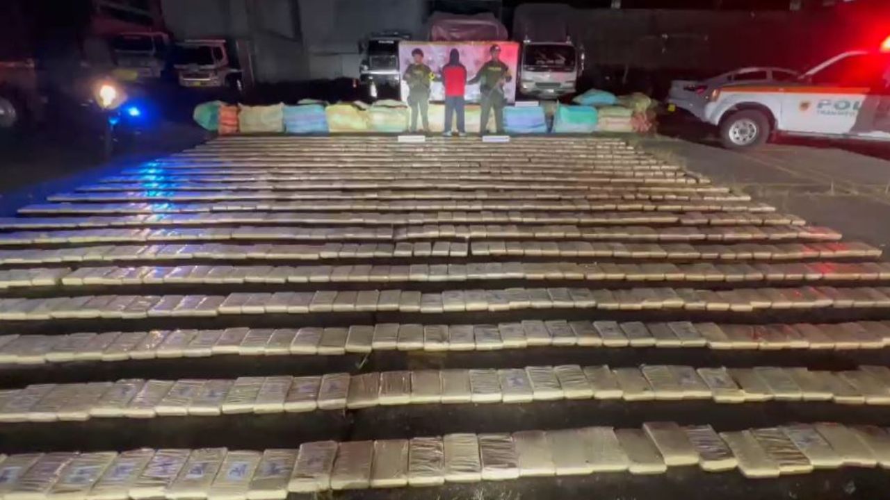 Marihuana camuflada entre naranjas: cae cargamento de 4 toneladas en el Cauca