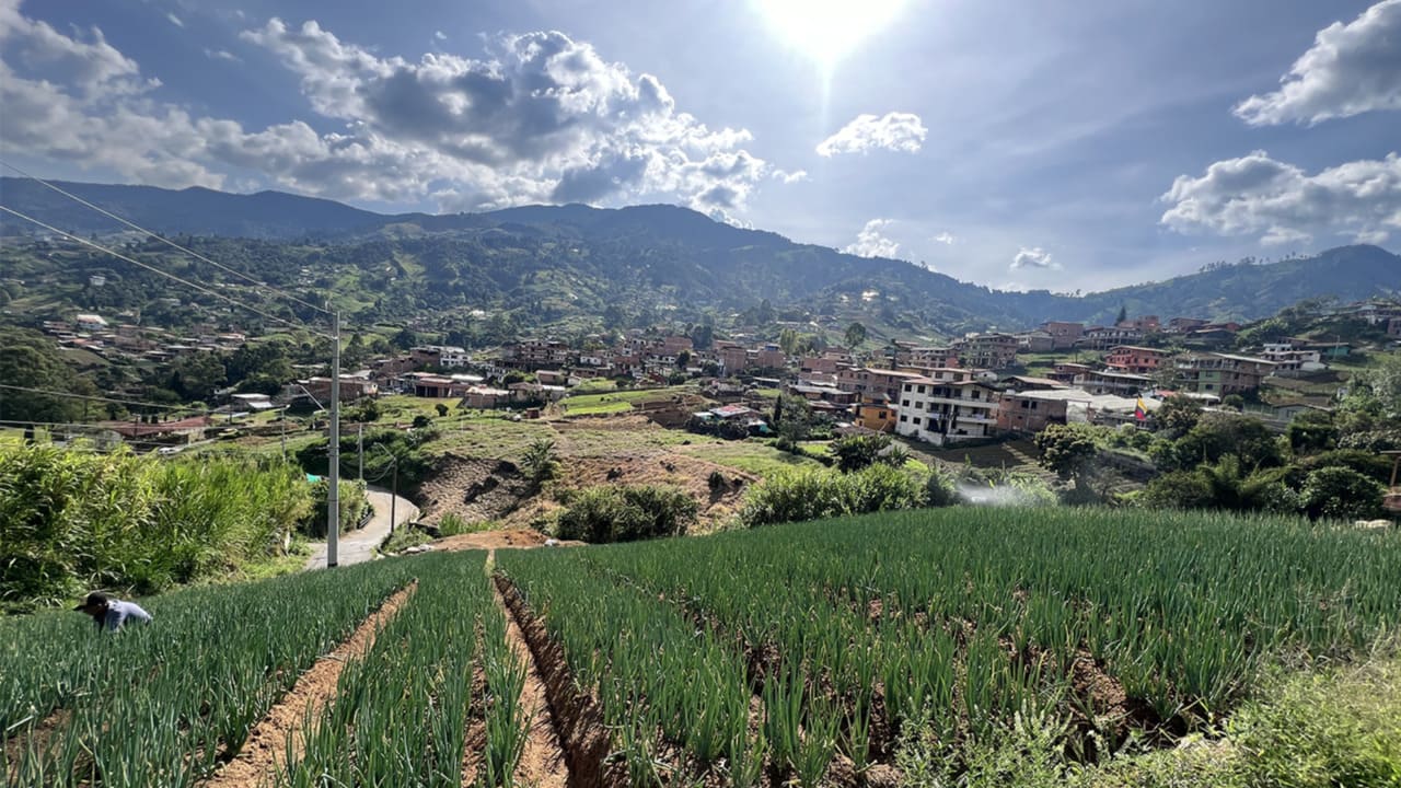 ¡Medellín le pone freno a la ilegalidad! Suspenden dos glamping por operar ilegalmente y afectar áreas de conservación en San Cristóbal