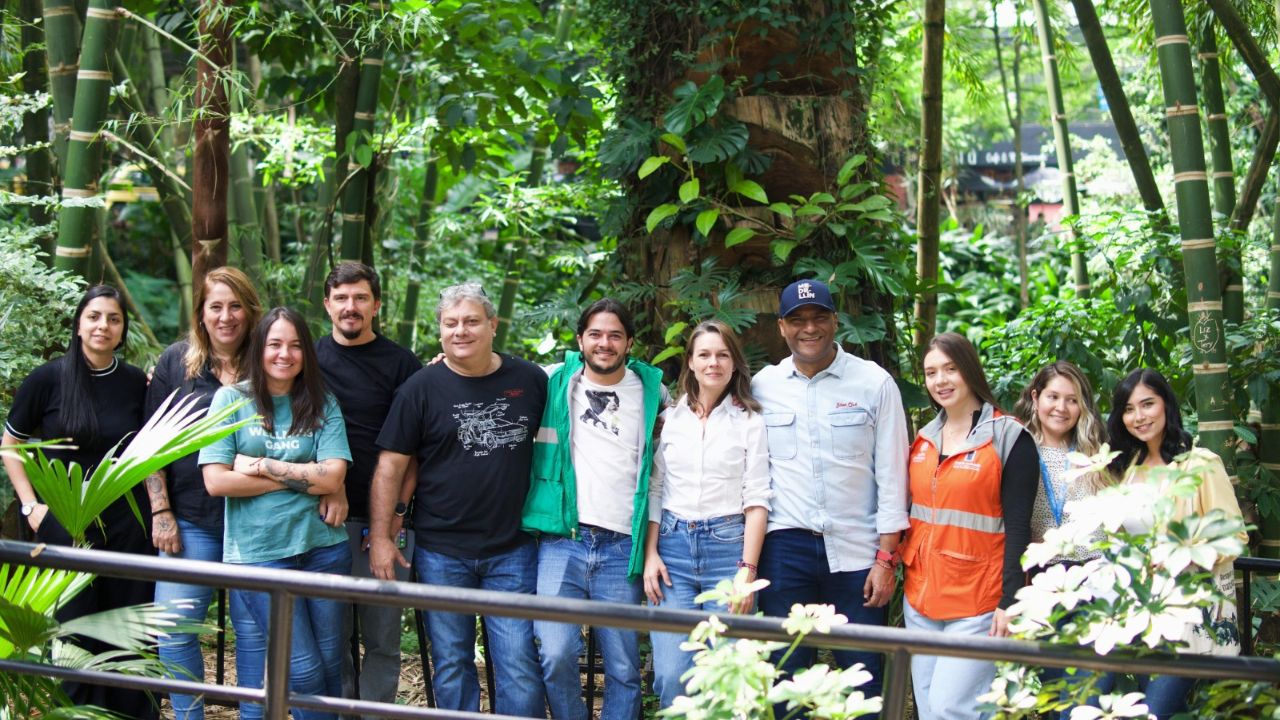  así nació el 'Árbol Hábitat' en Provenza