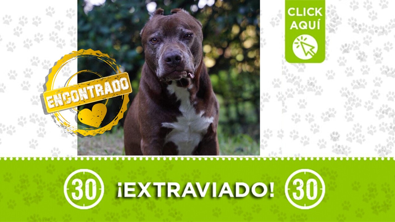 Draco ya fue encontrado en Santa Elena y recibe los cuidados de su familia