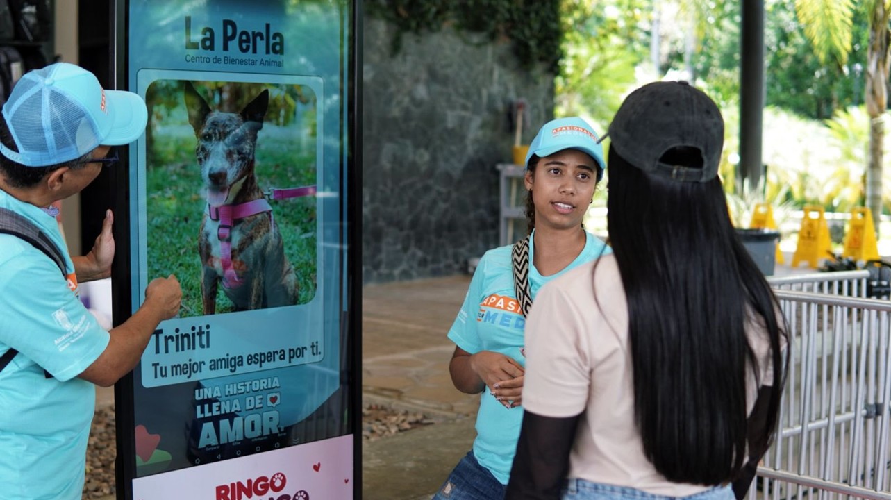 Éxito en la jornada de adopción de mascotas en Medellín