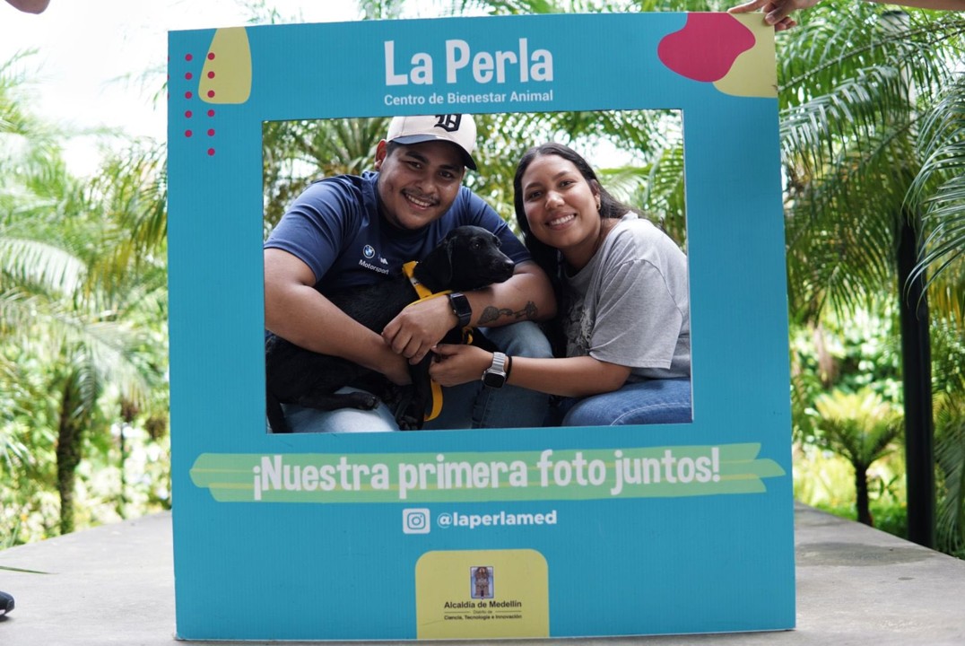 mascota1