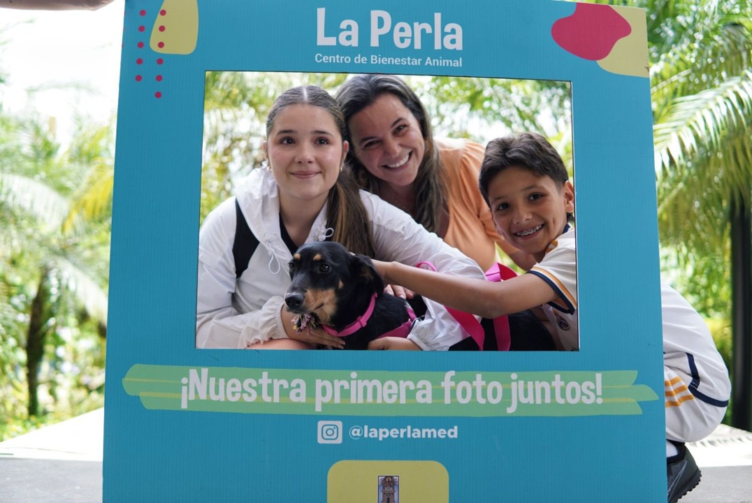 mascota3