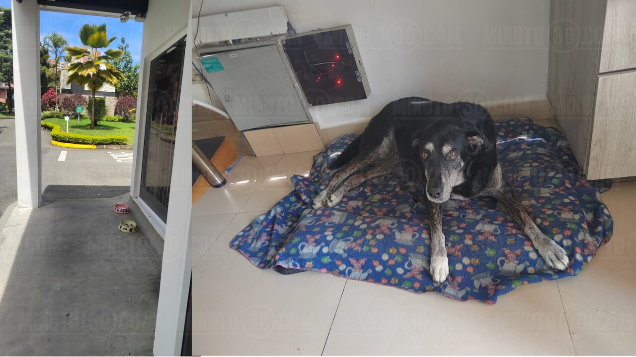 «La Negra», el corazón de Cortijo de San José en Sabaneta: una historia de lealtad y amor