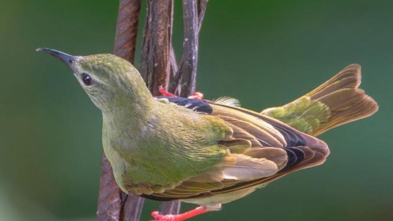 Congreso de turismo regenerativo Parque Arvi