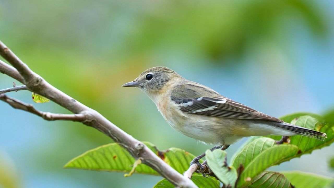 Congreso de turismo regenerativo Parque Arvi