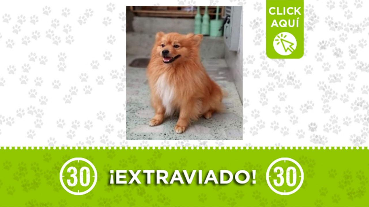 Se perdió Key en Manrique ¿Lo has visto?