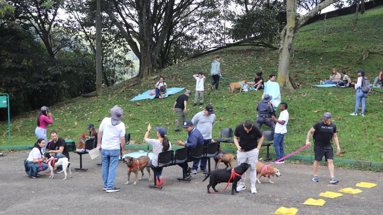 Los 'viejitos' de La Perla tuvieron su día feliz: voluntarios llenaron de amor a los perros mayores