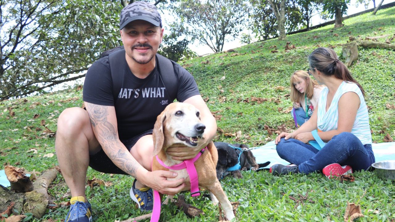 Los ‘viejitos’ de La Perla tuvieron su día feliz: voluntarios llenaron de amor a los perros mayores