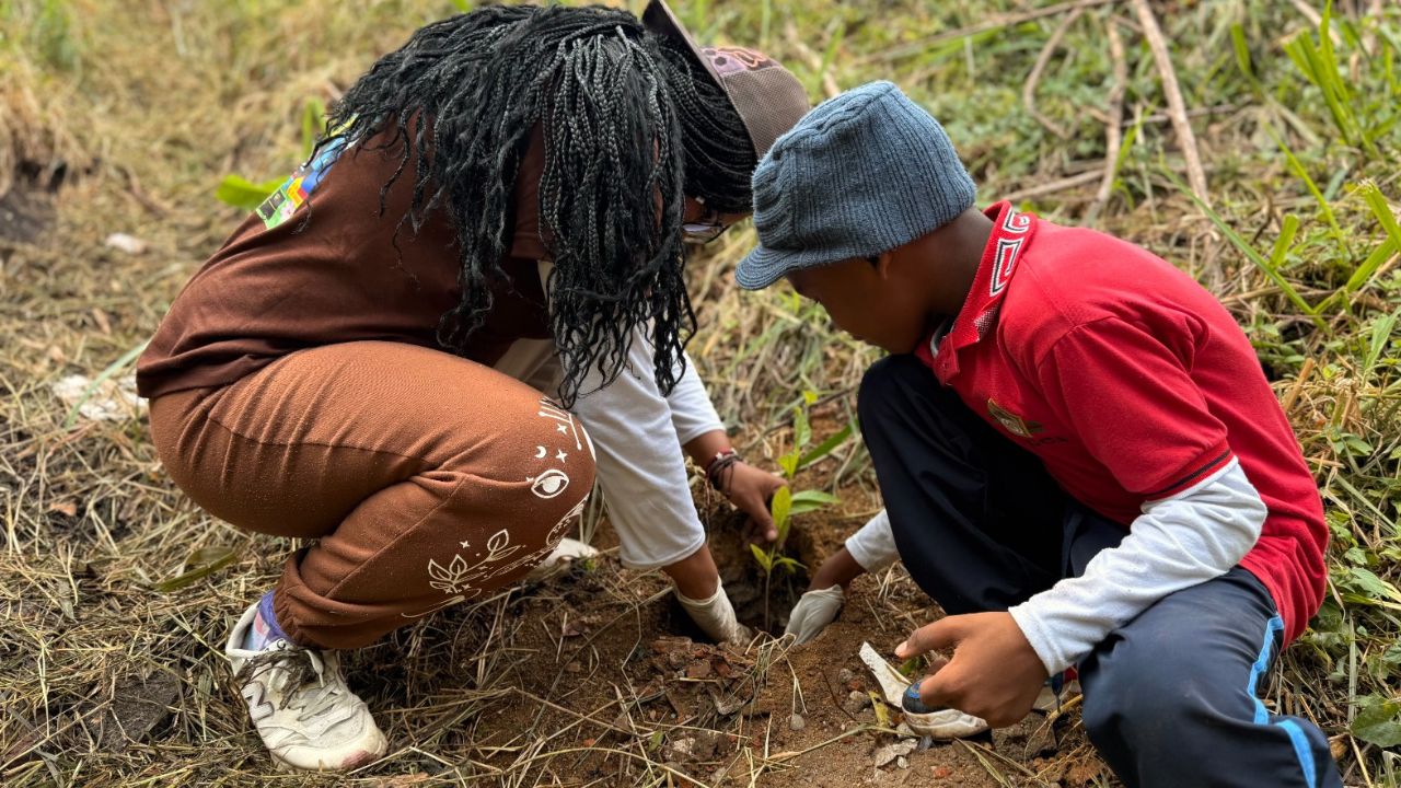 ¡Medellín se llena de verde! Más de 100 mil árboles ya cambian el aire de la ciudad