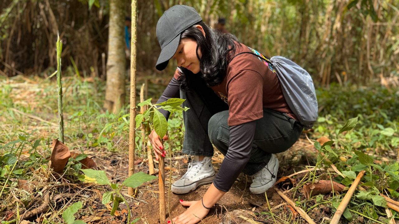 ¡Medellín se llena de verde! Más de 100 mil árboles ya cambian el aire de la ciudad