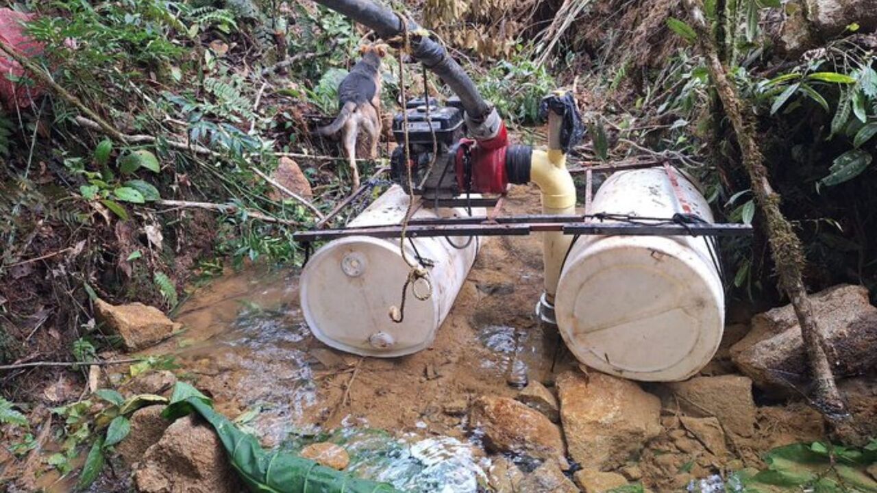 ¡Golpe a la minería ilegal en Antioquia! Autoridades suspenden extracción de oro y capturan a 10 personas en San Carlos