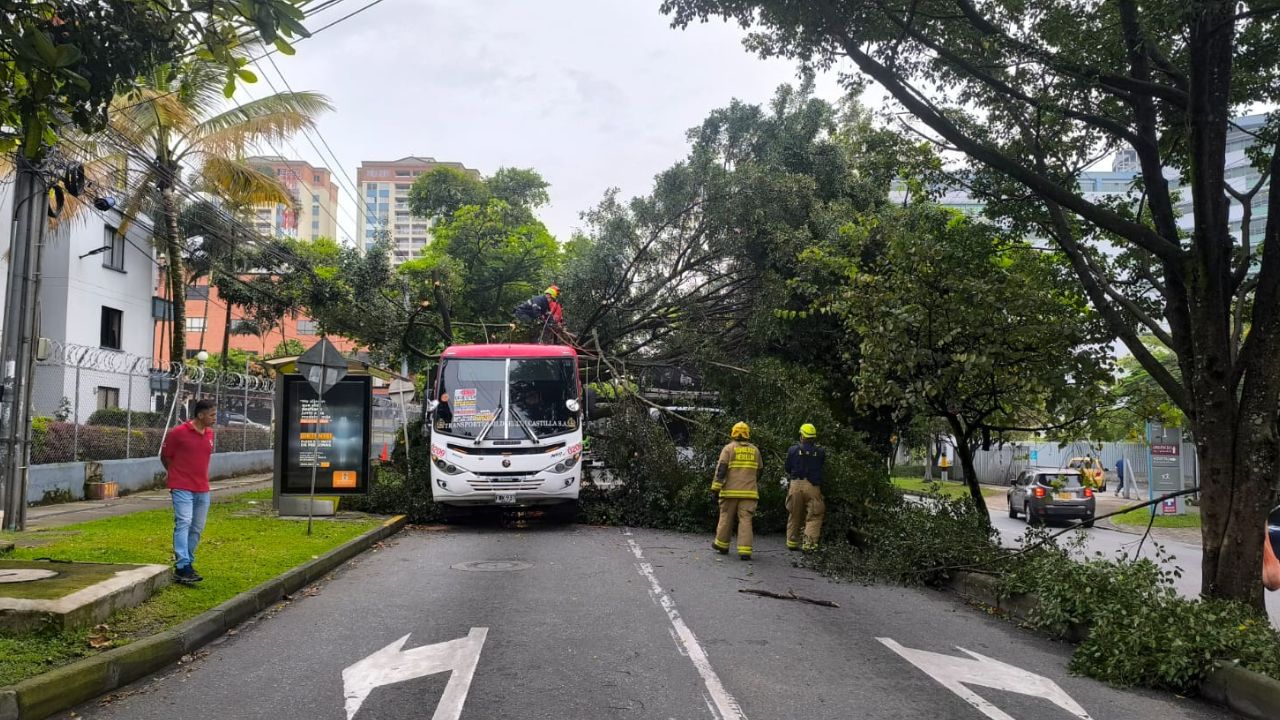 Árbol gigante se desplomó y bloqueó ambos sentidos a la altura del Hospital Pablo Tobón Uribe