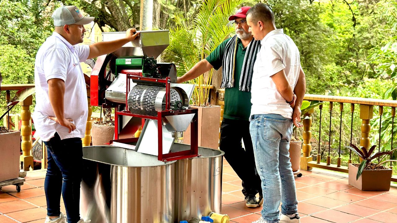 Bello apuesta por el café y así beneficiará a cientos de familias campesinas