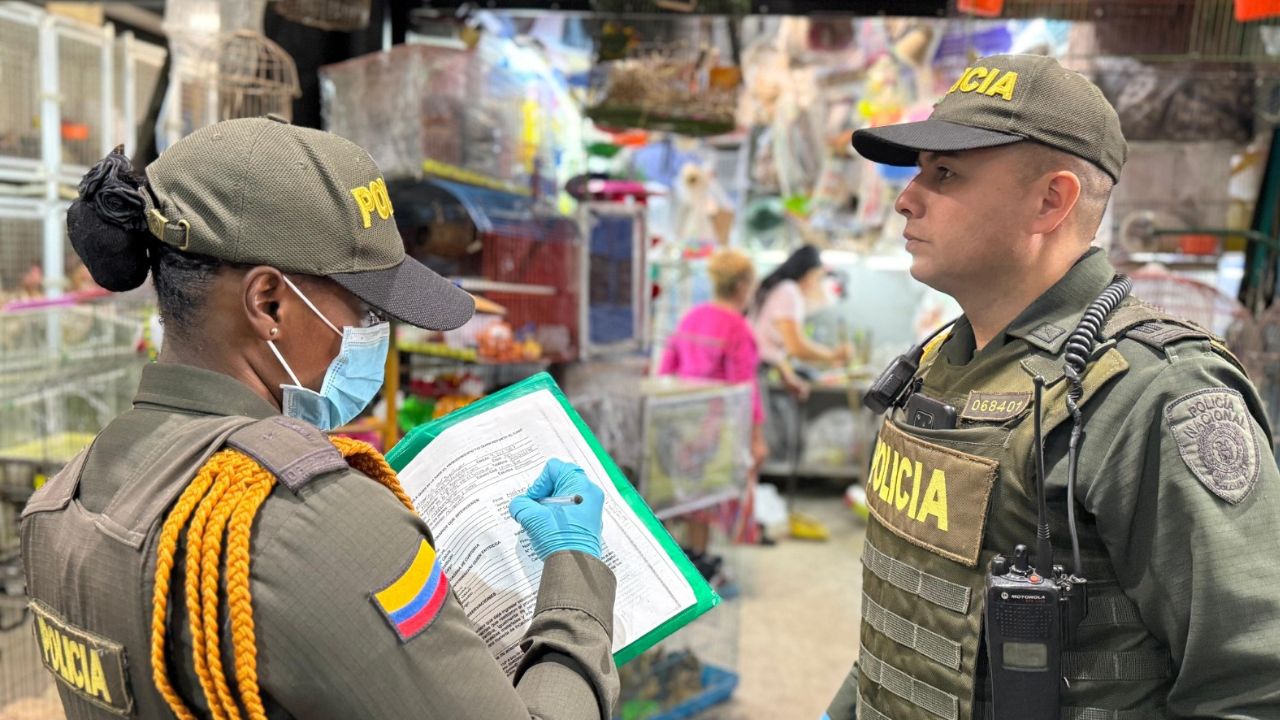 Rescatan 64 animales en condiciones terribles en Plaza Minorista de Medellín