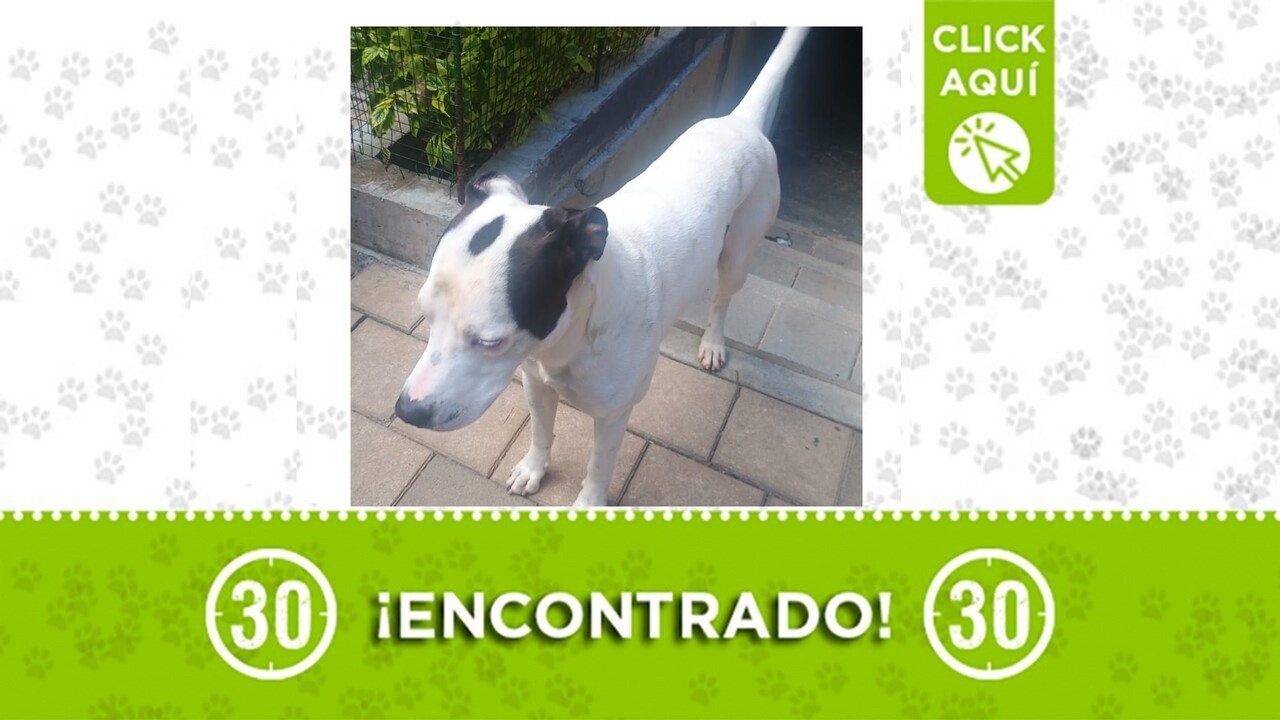 encontrado en niquia