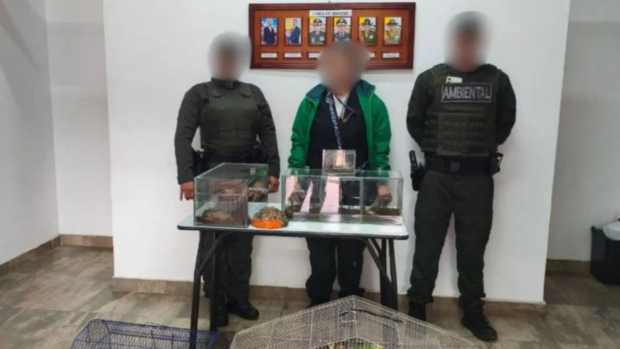 Decomiso de Fauna Silvestre en Bogotá
