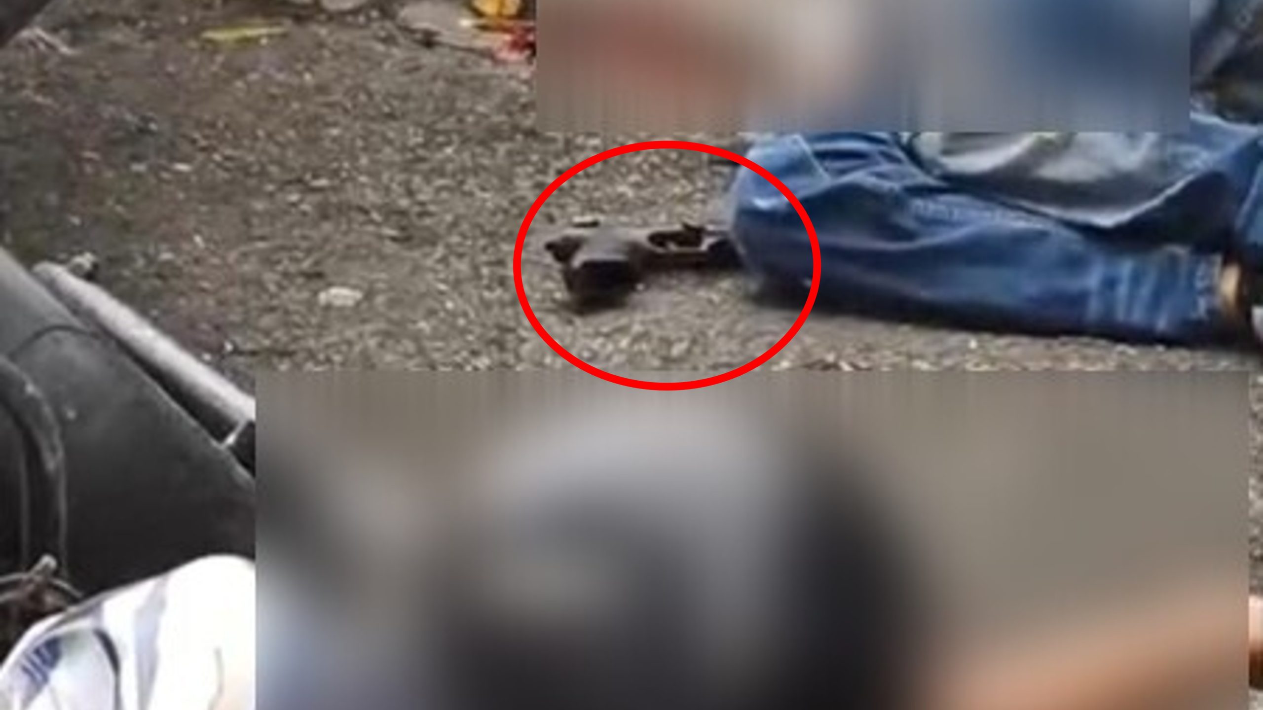 ¡SE LES ACABÓ LA SUERTE! Conductor frustra asalto en Medellín y deja un presunto fletero muerto y otro herido