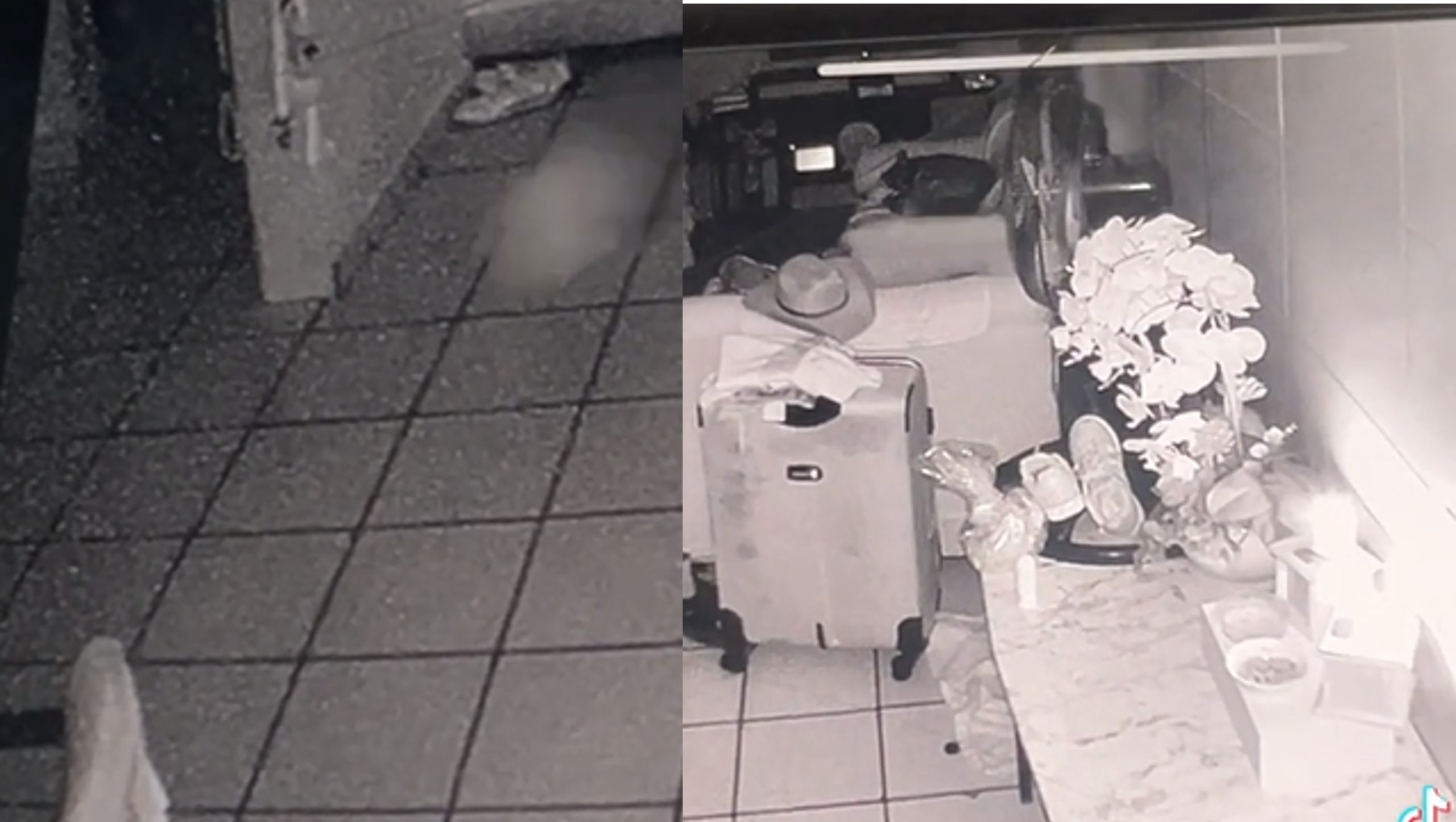 Un misterioso destello en el altar quedó en video: ¿Regresó el espíritu del «peludito»?